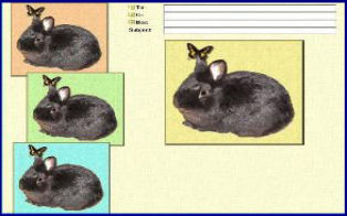 blackrabbit.jpg