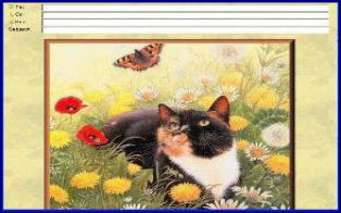 catbutterfly.jpg