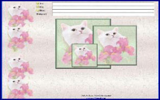 softcolors.jpg